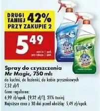 Biedronka Spray do kabin przysznicowych Mr Magic oferta