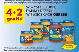 Biedronka Obiadek kurczak w potrawce z jarzynkami Gerber oferta