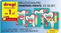 Biedronka Pieluchomajtki 4 maxi Pampers Pants oferta