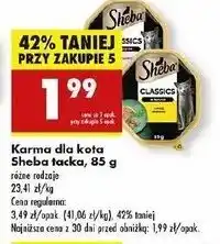 Biedronka Karma dla kota z łososiem Sheba Classics oferta