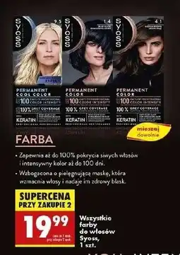 Biedronka Farba do włosów 4.1 Syoss Permanent oferta