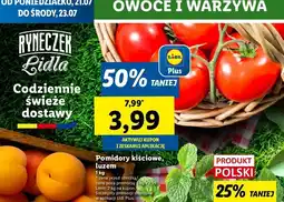 Lidl Pomidory kiściowe polska oferta