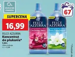 Lidl Koncentrat do płukania pura freschezza Felce Azzurra oferta