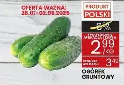 Wafelek Ogórek gruntowy Wafelek oferta