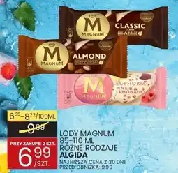 Wafelek Lody Magnum różne rodzaje Algida oferta
