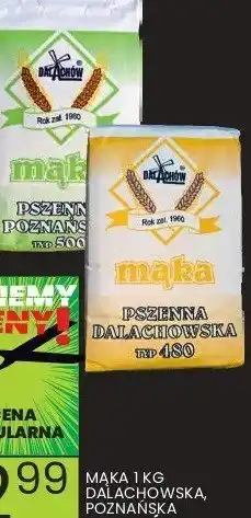 Wafelek Mąka pszenna Dalachowska Dalachów oferta
