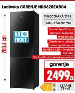 Neopunkt Lodówka Gorenje oferta