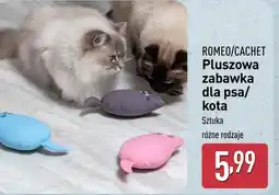 ALDI Zabawka dla kota Cachet oferta