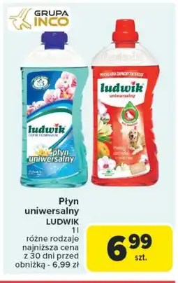 Carrefour Płyn uniwersalny Ludwik oferta