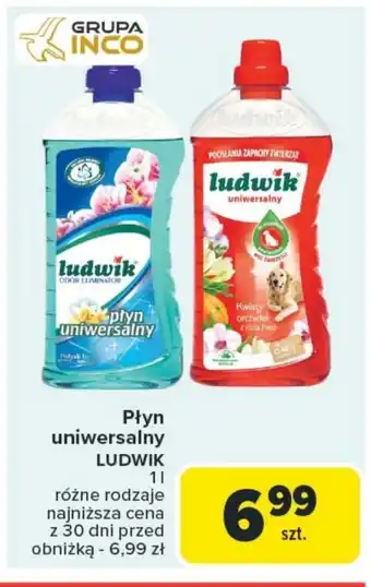 Carrefour Płyn uniwersalny Ludwik oferta