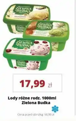 Torimpex Lody Zielona Budka oferta