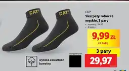 Lidl Skarpetki robocze 39-50 Cat oferta