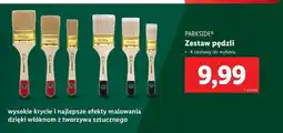Lidl Zestaw pędzli Parkside oferta