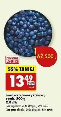 Biedronka Borówka amerykańska oferta