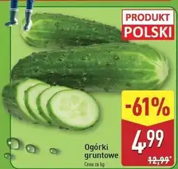 ALDI Ogórek gruntowy oferta