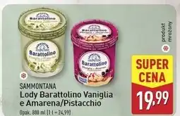 ALDI Lody vaniglia e amarena Sammontana Barattolino oferta