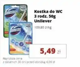 Torimpex Kostka do WC Unilever oferta