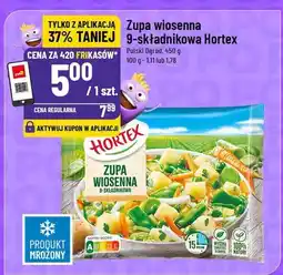 Polomarket Zupa wiosenna 9-składnikowa Hortex oferta