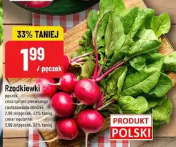 Polomarket Rzodkiewki POLOmarket oferta