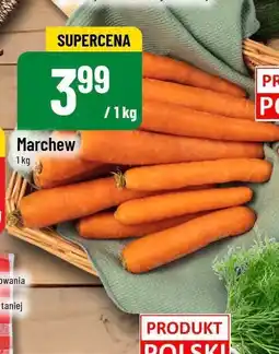 Polomarket Marchew POLOmarket oferta