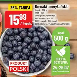 Polomarket Borówki amerykańskie POLOmarket oferta