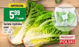 Polomarket Sałata rzymska mini POLOmarket oferta