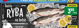 Polomarket Pstrąg patroszony mirko oferta