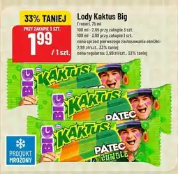 Polomarket Lody Kaktus Big Patec oferta