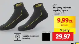 Lidl Skarpety męskie Cat oferta