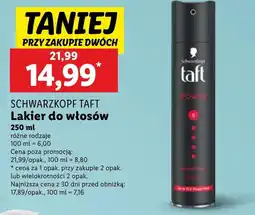 Lidl Lakier do włosów Taft oferta