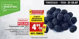 Biedronka Jeżyna polska oferta