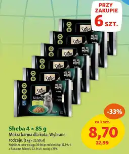 Maxi Zoo Sheba Mokra karma dla kota oferta