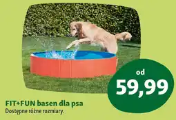 Maxi Zoo FIT+FUN basen dla psa oferta