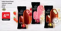 Market Point Lody Grand Goat wybrane rodzaje Koral oferta