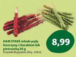 Maxi Zoo HAM STAKE młode pędy leszczyny z burakiem lub pietruszką oferta