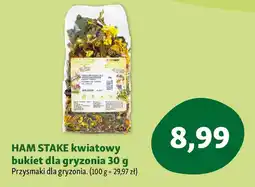 Maxi Zoo HAM STAKE kwiatowy bukiet dla gryzonia oferta