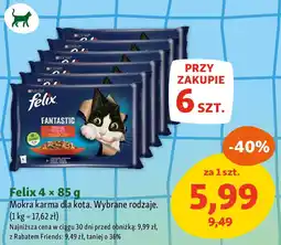 Maxi Zoo Felix Mokra karma dla kota. Wybrane rodzaje. oferta