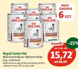 Maxi Zoo Royal Canin Vet Mokra karma dla psa oferta