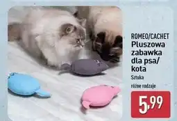 ALDI Zabawka dla kota pluszowa Cachet oferta