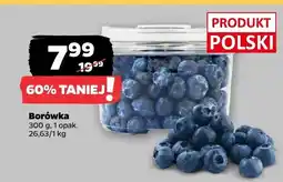 Netto Borówka 1 opak. Netto oferta