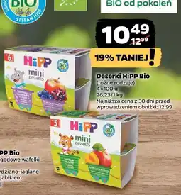 Netto Deserki Hipp Bio różne rodzaje oferta