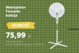 Torimpex Wentylator Tornado Galicja oferta