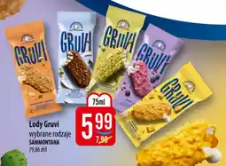 MOKPOL Lody gruvi sammontana oferta