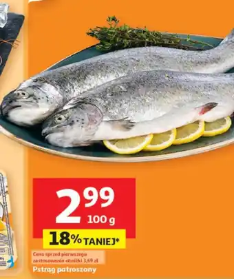 Auchan Pstrąg patroszony oferta
