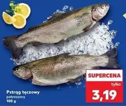 Kaufland Pstrąg tęczowy patroszony oferta