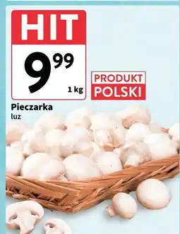Intermarche Pieczarka luz Intermarche oferta