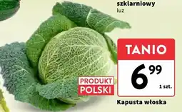 Intermarche Kapusta włoska Intermarche oferta