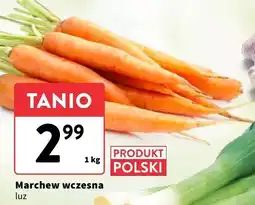 Intermarche Marchew wczesna luz Intermarche oferta