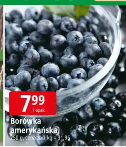 E.Leclerc Borówka amerykańska Leclerc oferta