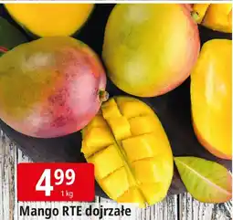 E.Leclerc Mango RTE dojrzałe Leclerc oferta